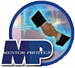 mentor Proteger Program